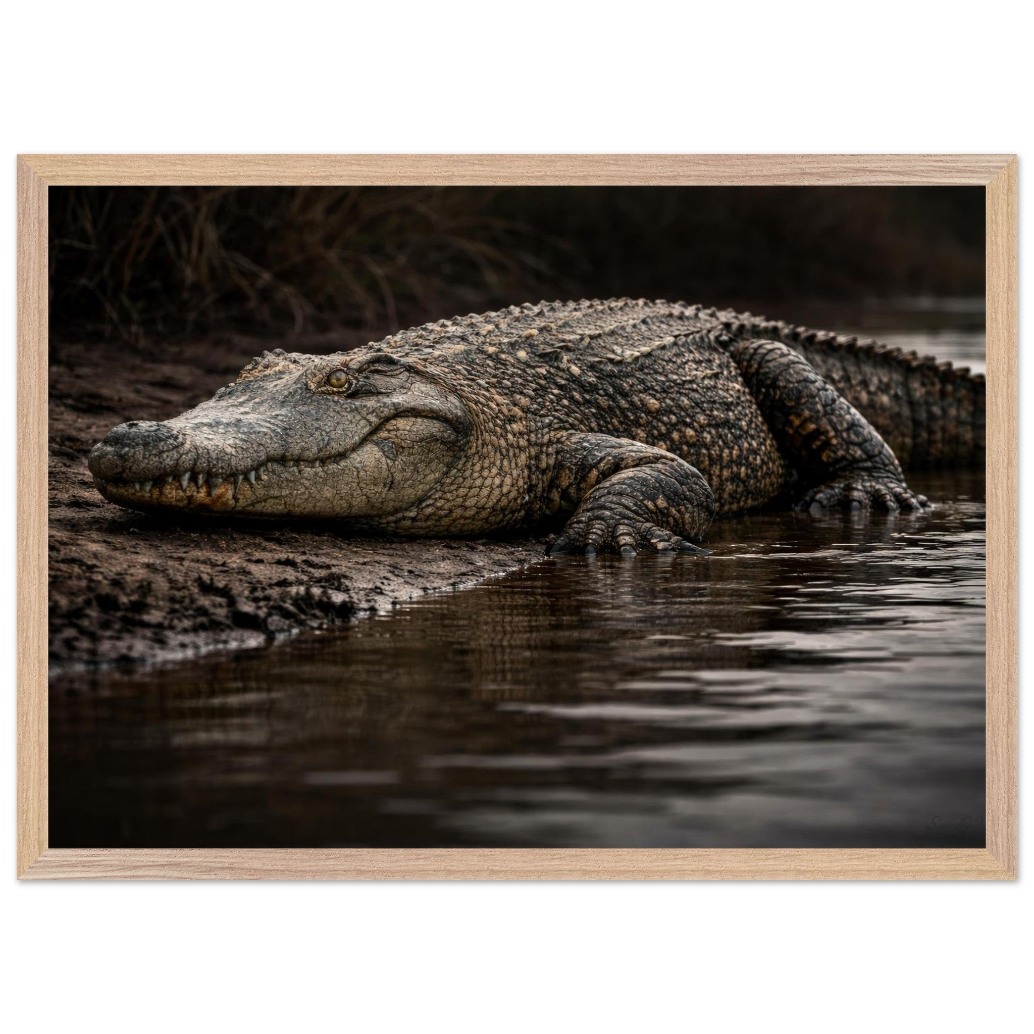 The Crocodile — Framed Fine Art Print — Premium Wooden Frame — alternate view 1 of 9