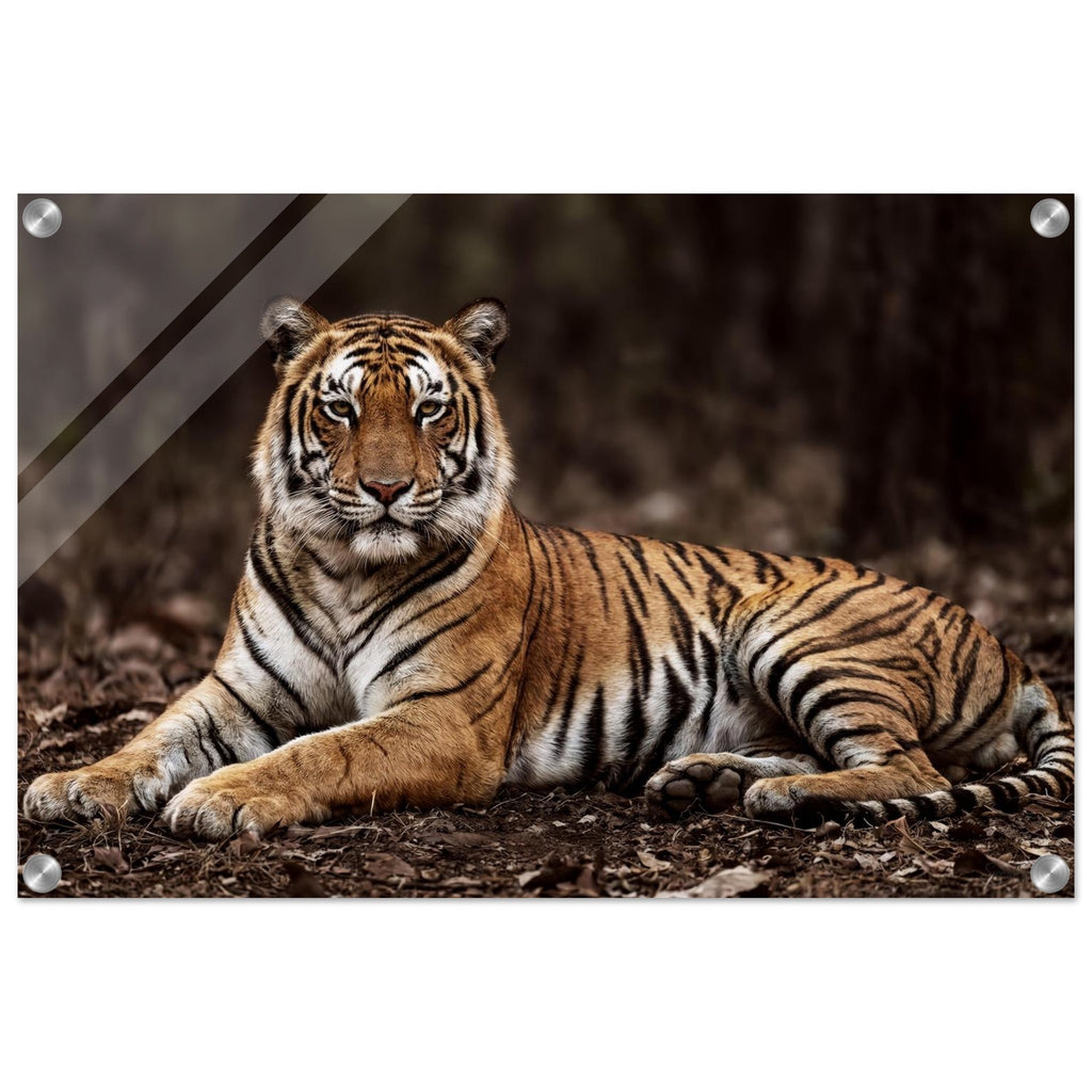 The Tiger — Acrylic Gallery Print — alternate view 2 of 8
