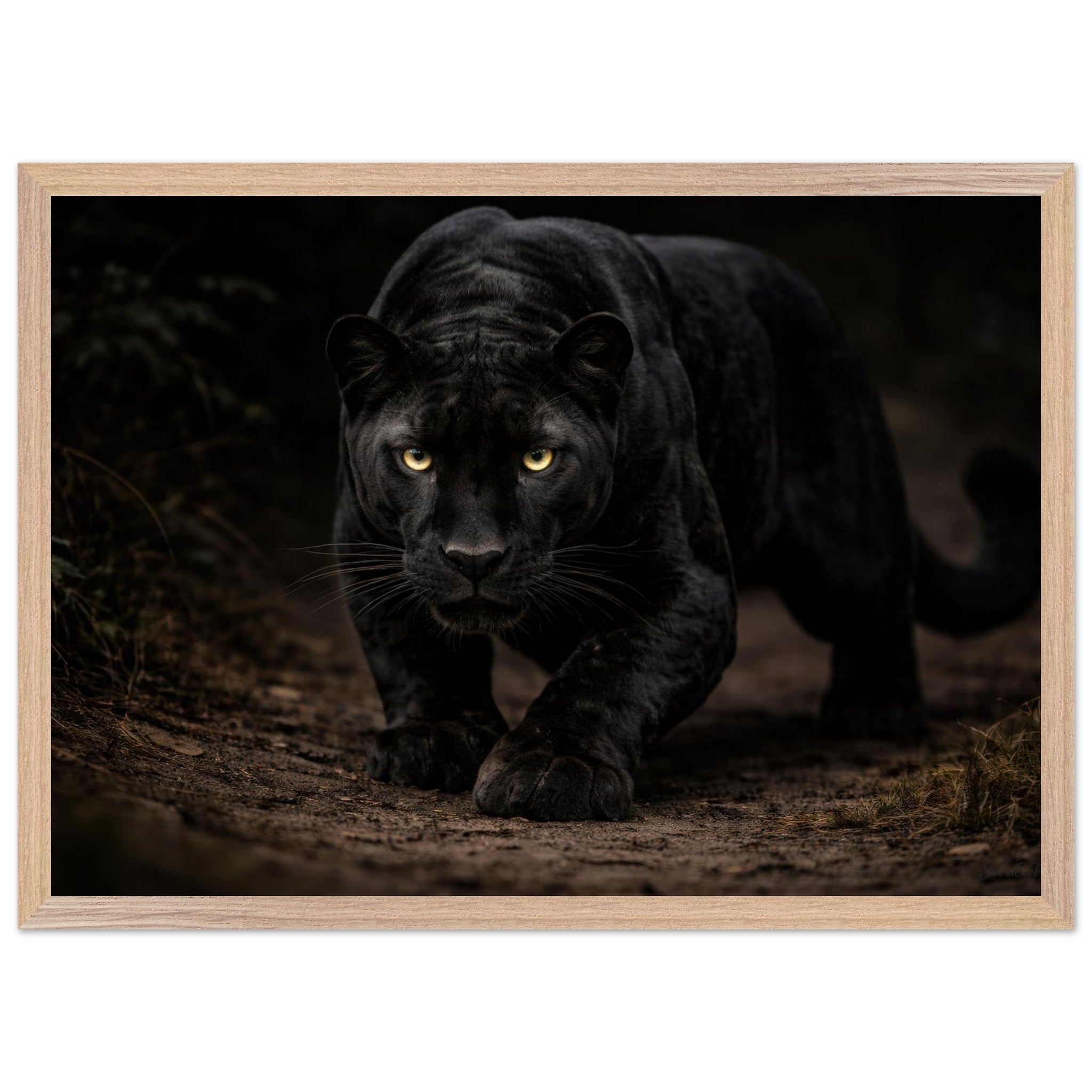 The Panther — Framed Fine Art Print — Premium Wooden Frame — alternate view 1 of 9
