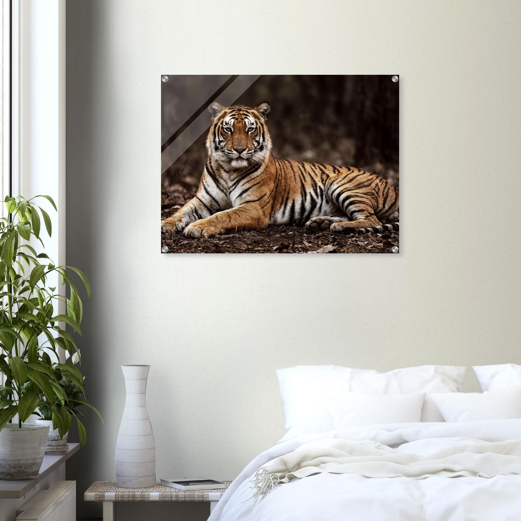 The Tiger — Acrylic Gallery Print — alternate view 4 of 8