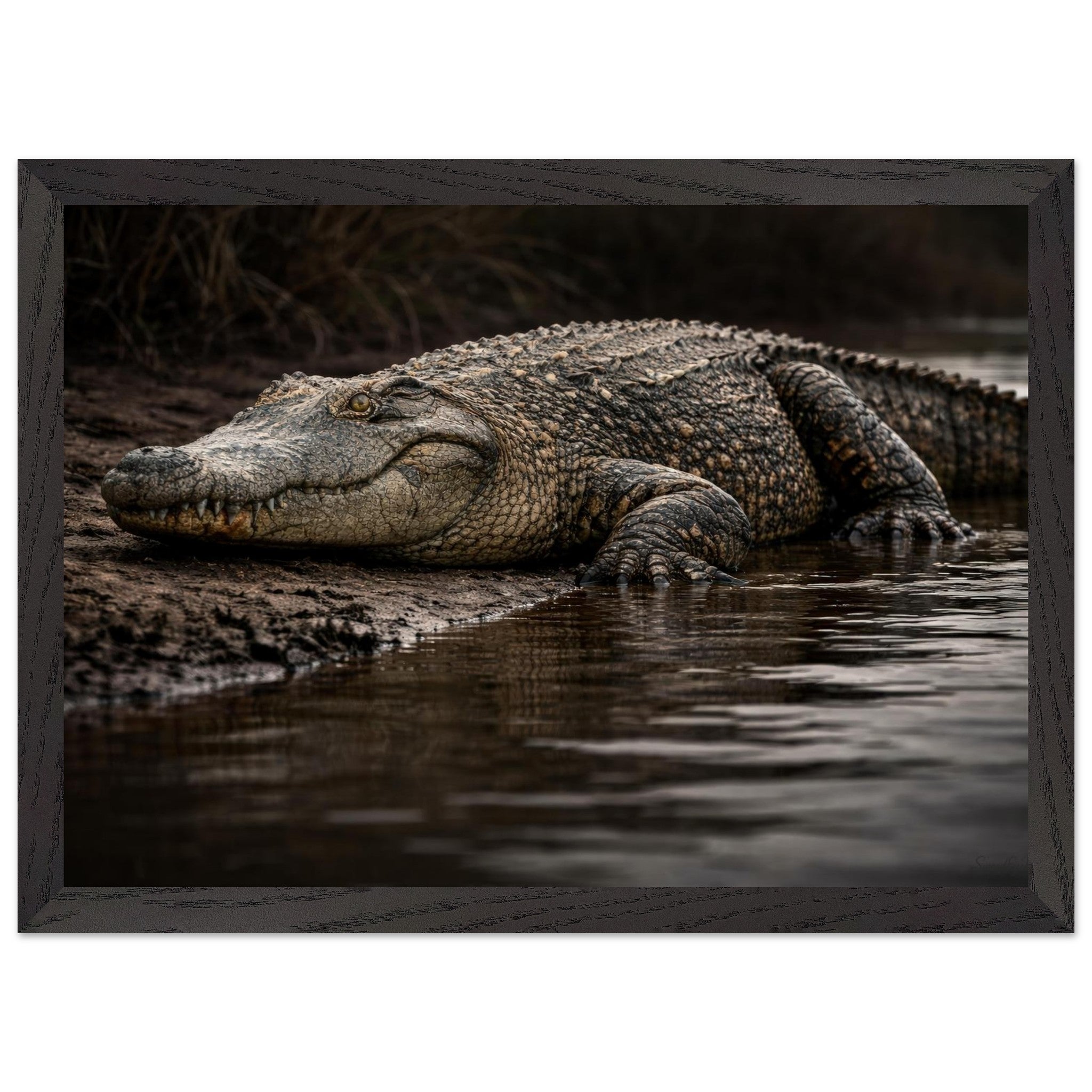 The Crocodile — Framed Fine Art Print — Premium Wooden Frame — alternate view 3 of 9