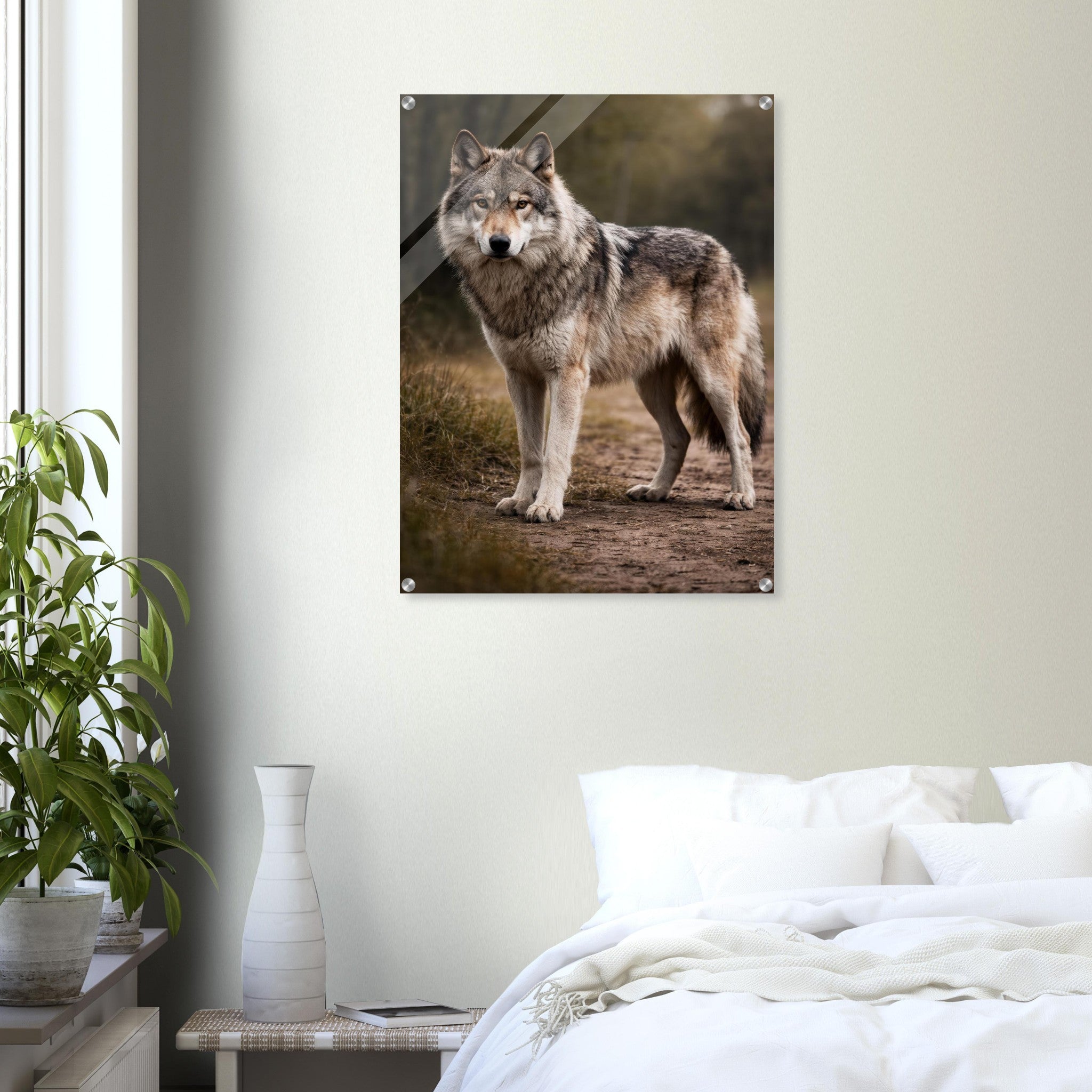 The Wolf — Acrylic Gallery Print — alternate view 5 of 7