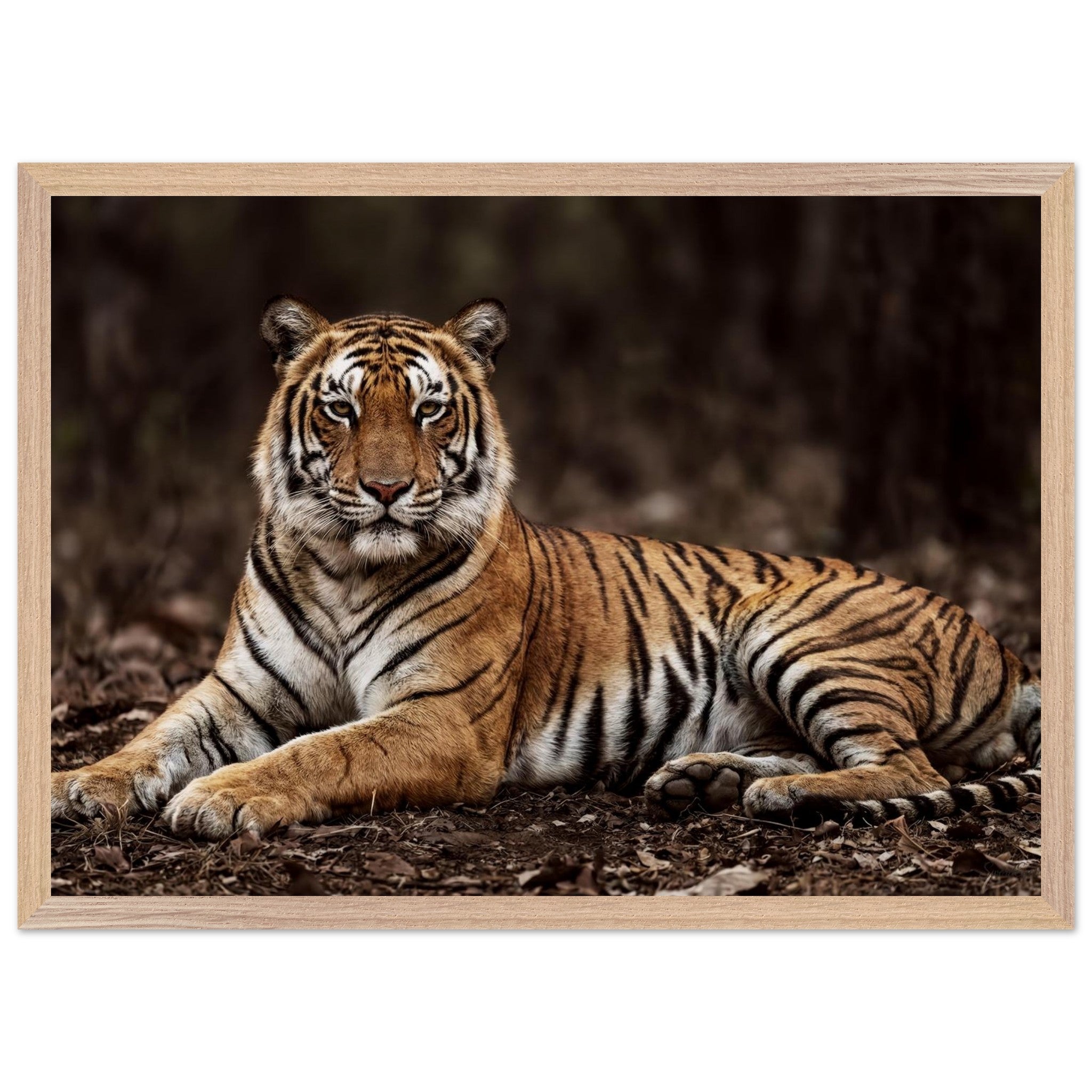 The Tiger — Framed Fine Art Print — Premium Wooden Frame — alternate view 1 of 9