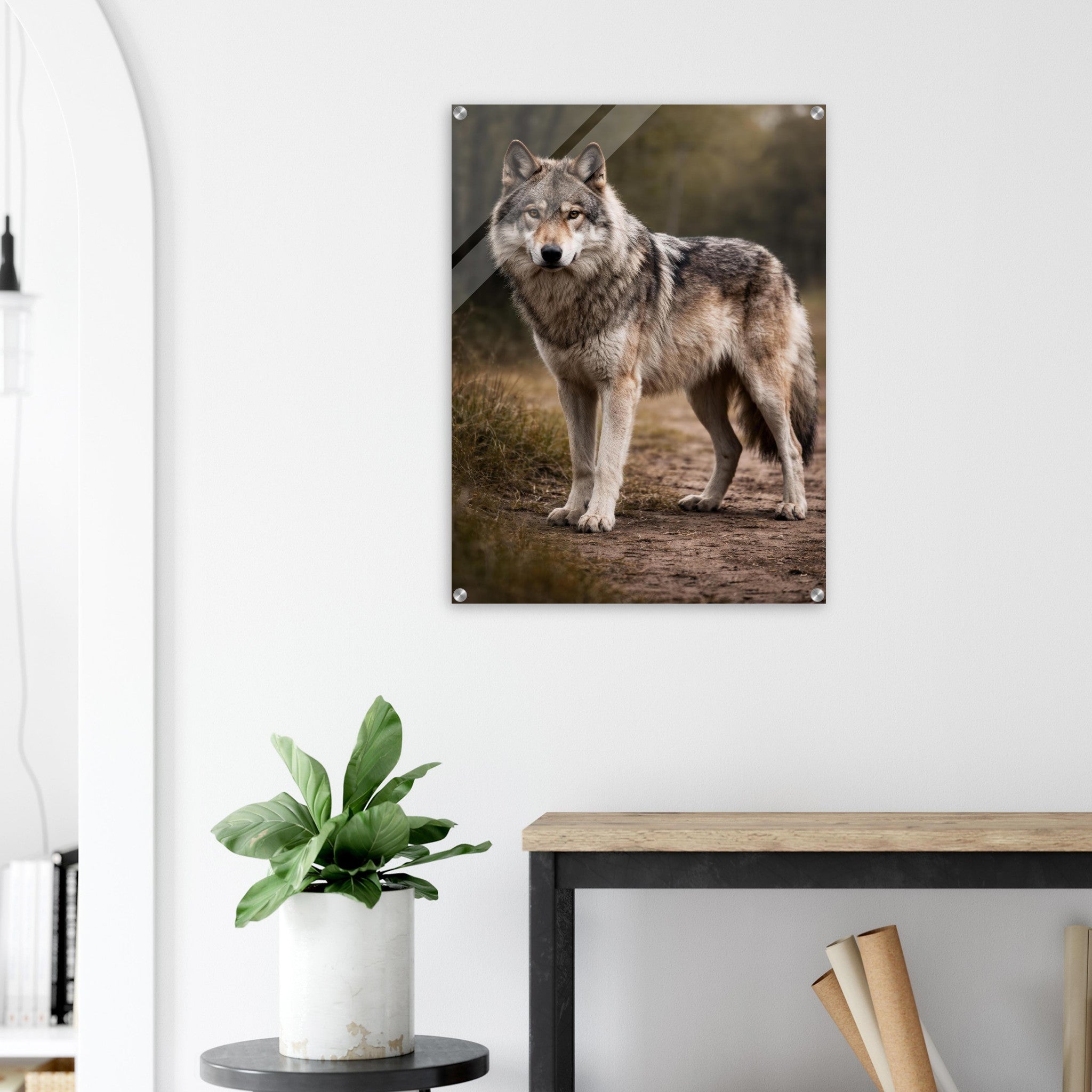 The Wolf — Acrylic Gallery Print — alternate view 6 of 7