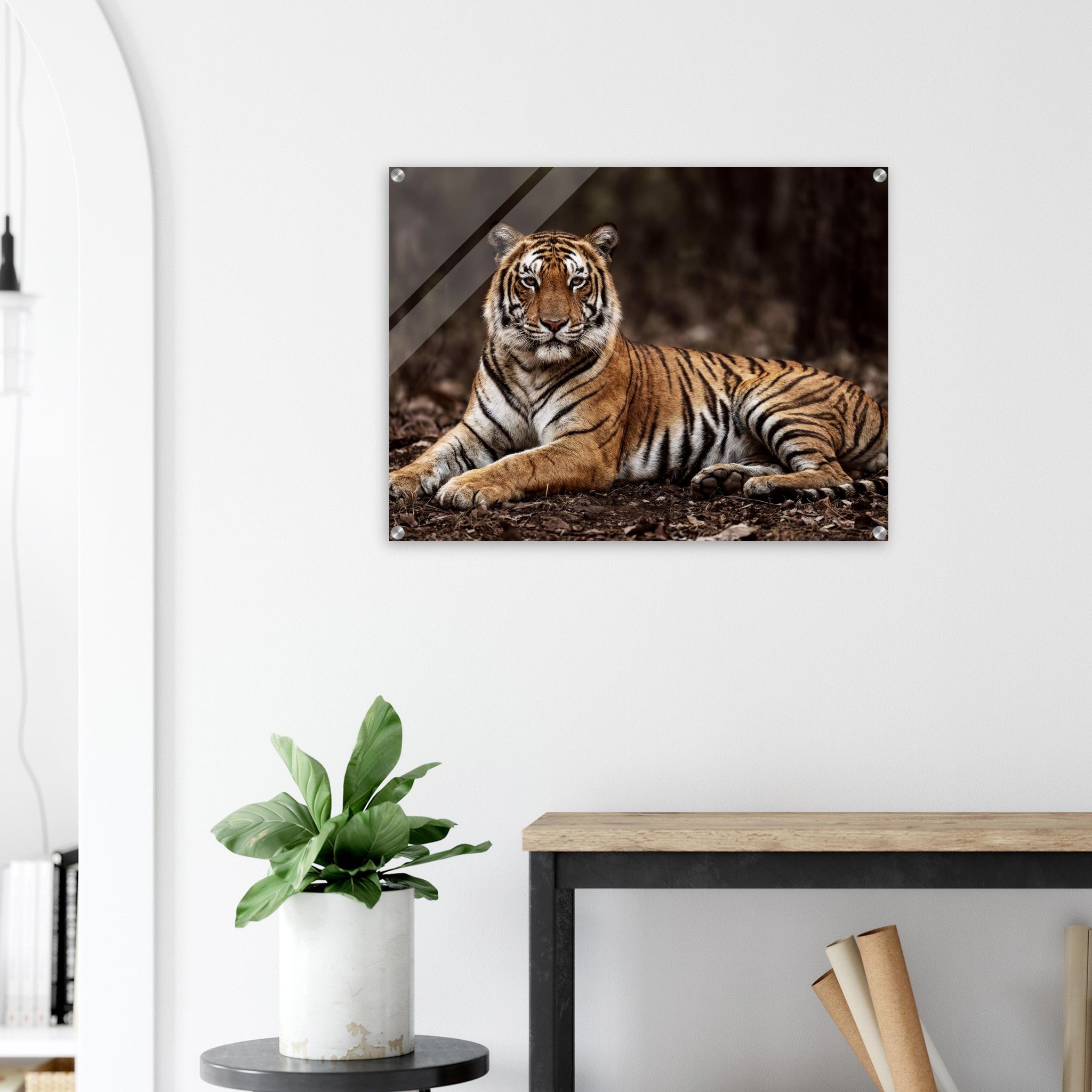 The Tiger — Acrylic Gallery Print — alternate view 7 of 8