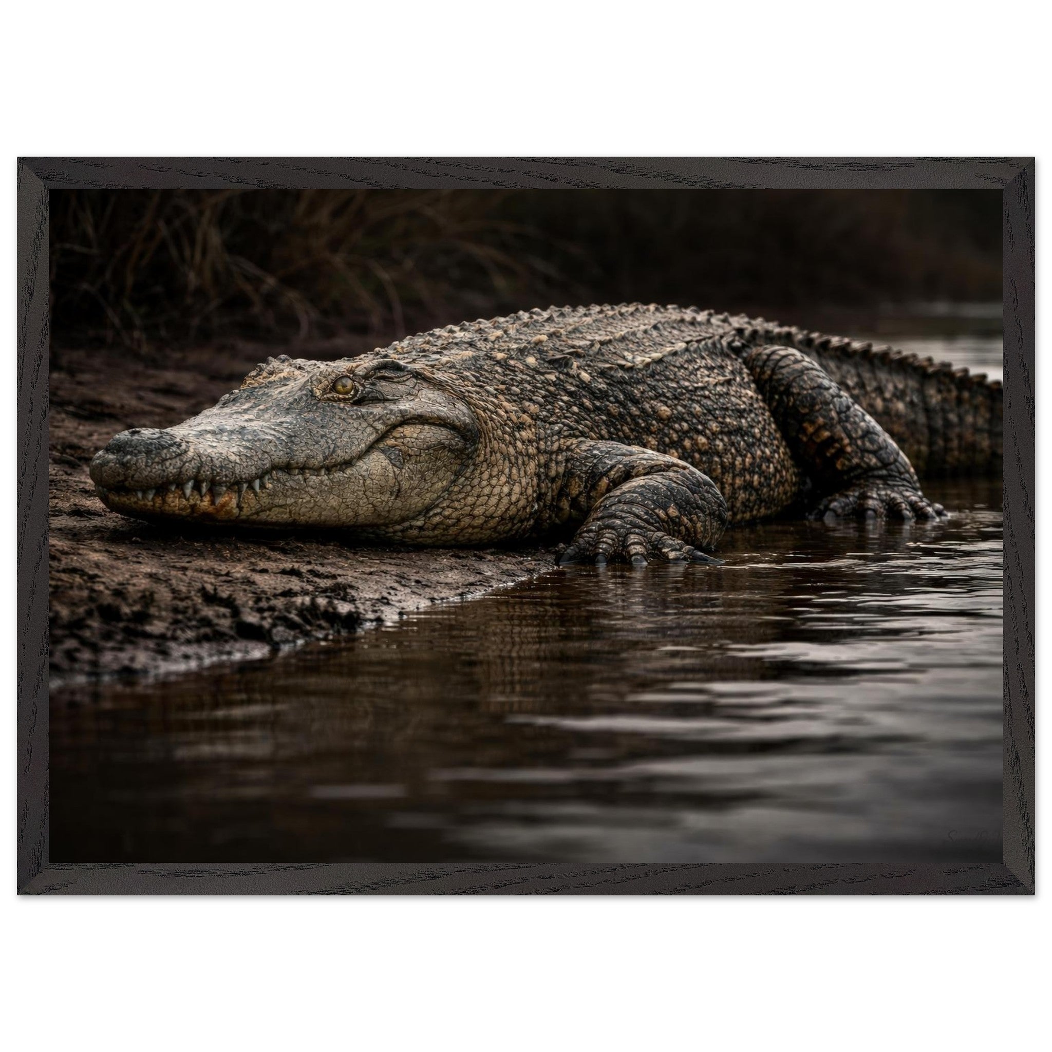 The Crocodile — Framed Fine Art Print — Premium Wooden Frame — alternate view 4 of 9