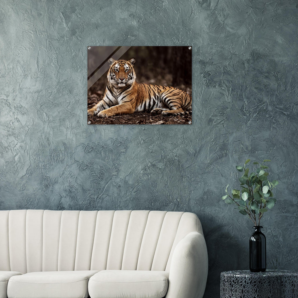 The Tiger — Acrylic Gallery Print — alternate view 3 of 8