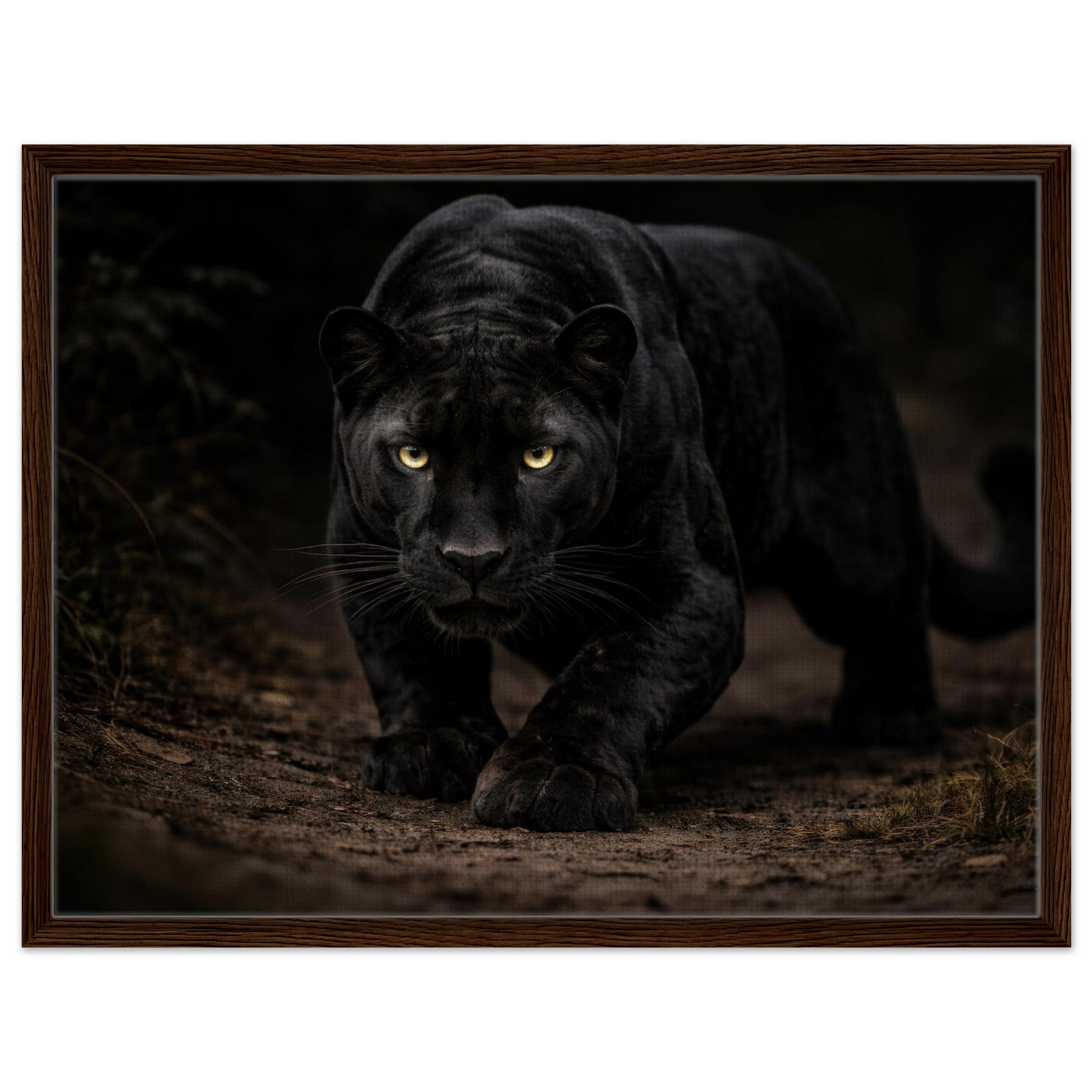 The Panther – Framed Canvas Edition — alternate view 1 of 6