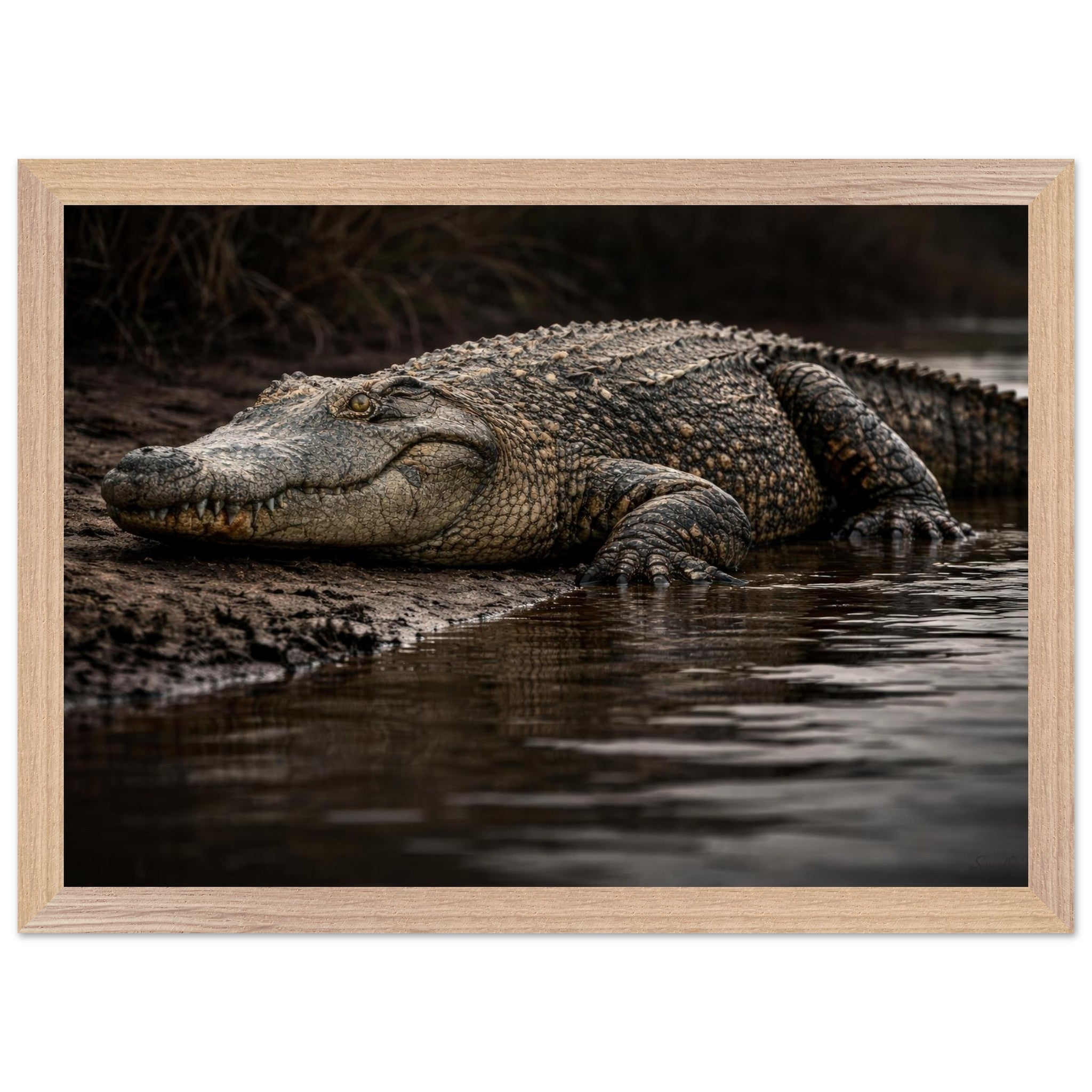 The Crocodile — Framed Fine Art Print — Premium Wooden Frame — alternate view 2 of 9