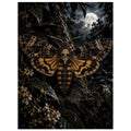 Death's-head Moth unframed fine art print, 30 × 40 cm — protected artwork preview