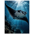 Manta Ray unframed fine art print, 30 × 40 cm — protected artwork preview