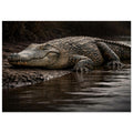 The Crocodile — Unframed Fine Art Print — alternate view 2 of 7