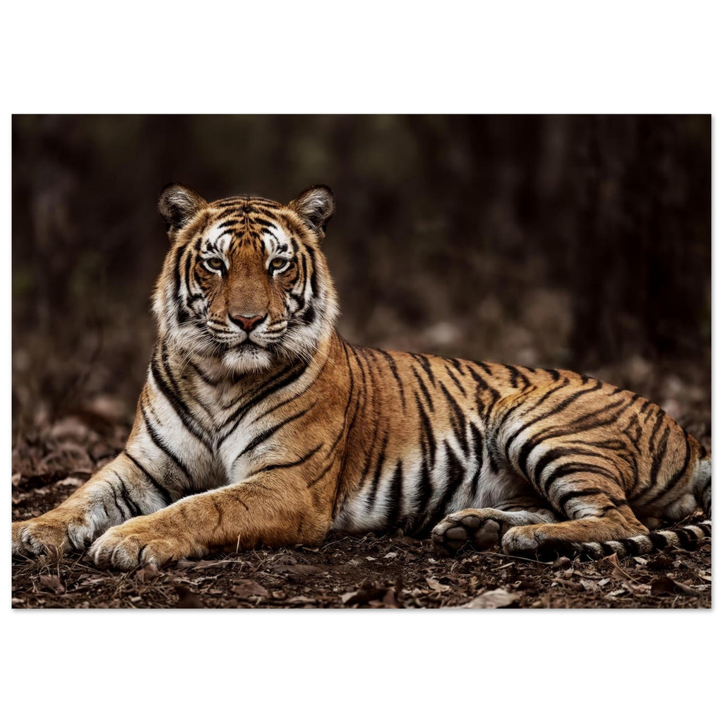 The Tiger — Unframed Fine Art Print — alternate view 2 of 7