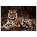 The Tiger — Unframed Fine Art Print — alternate view 2 of 7