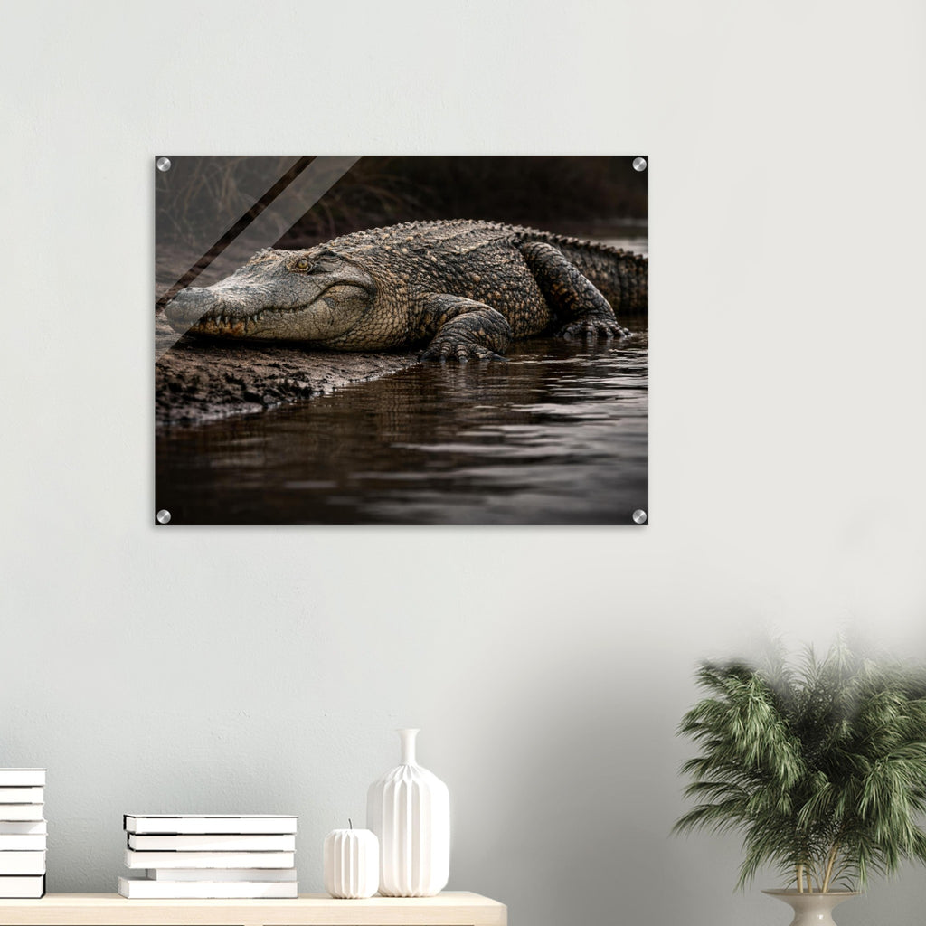 The Crocodile - Acrylic Gallery Print — alternate view 4 of 8