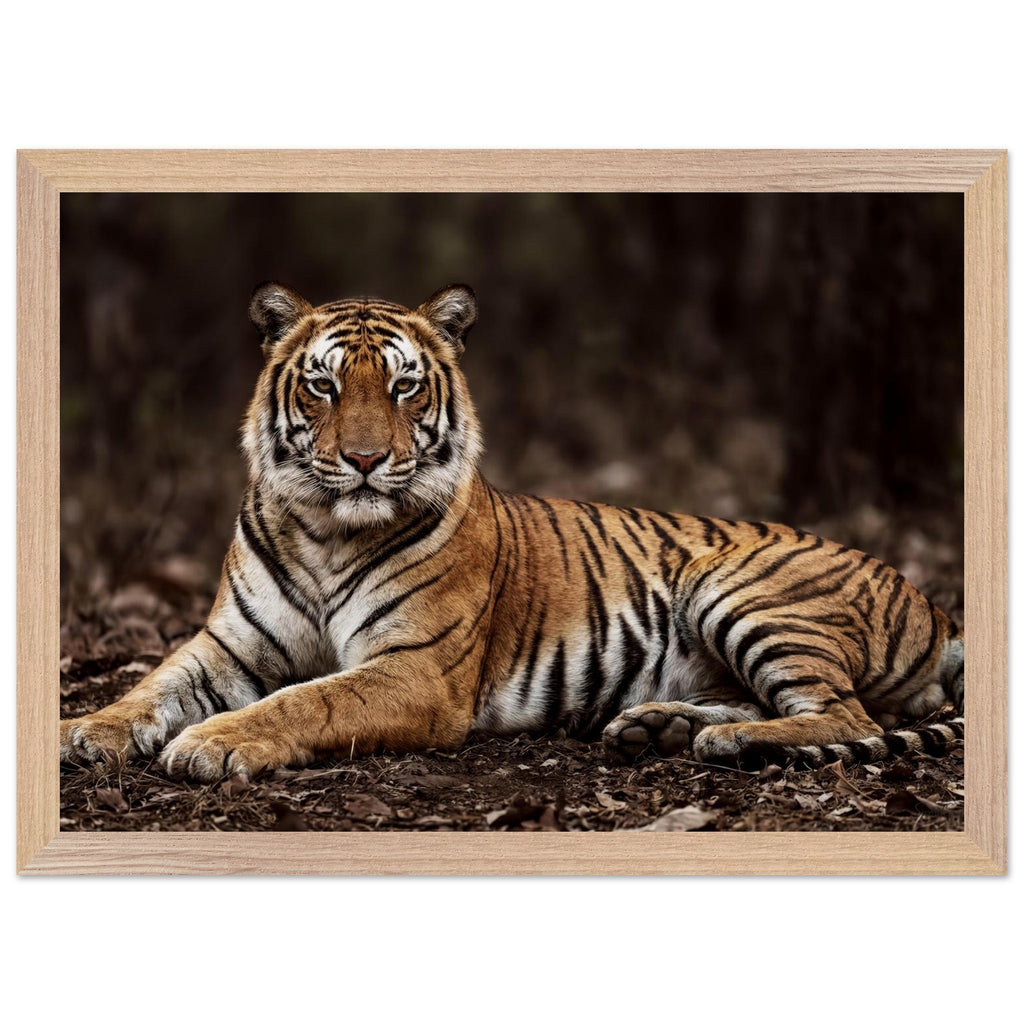 The Tiger — Framed Fine Art Print — Premium Wooden Frame — alternate view 4 of 9