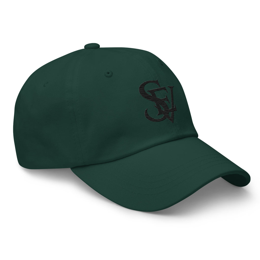 Classic Cap — alternate view 14 of 18
