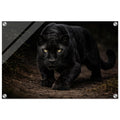 The Panther — Acrylic Gallery Print — alternate view 2 of 8