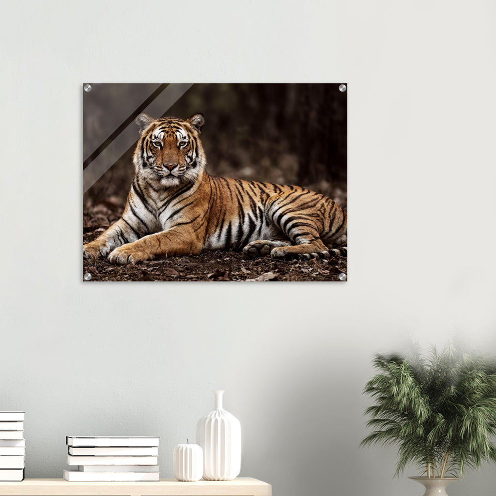 The Tiger — Acrylic Gallery Print — alternate view 5 of 8