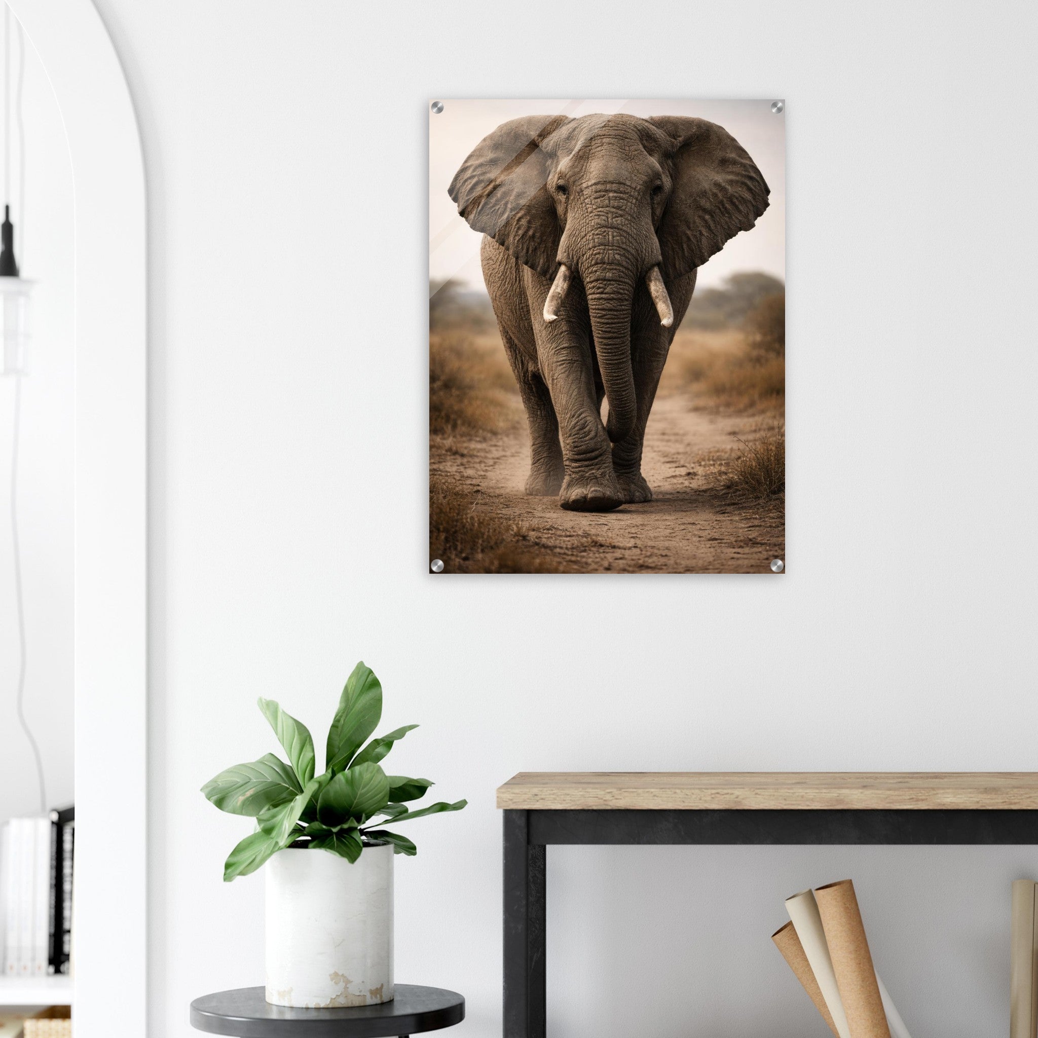The Elephant — Acrylic Gallery Print — alternate view 7 of 7