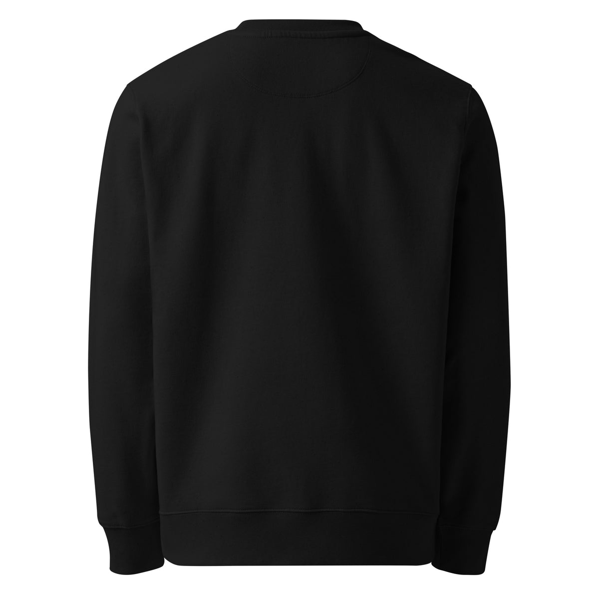 SEV Cursive Wordmark Embroidered Crewneck in Black, plain back view