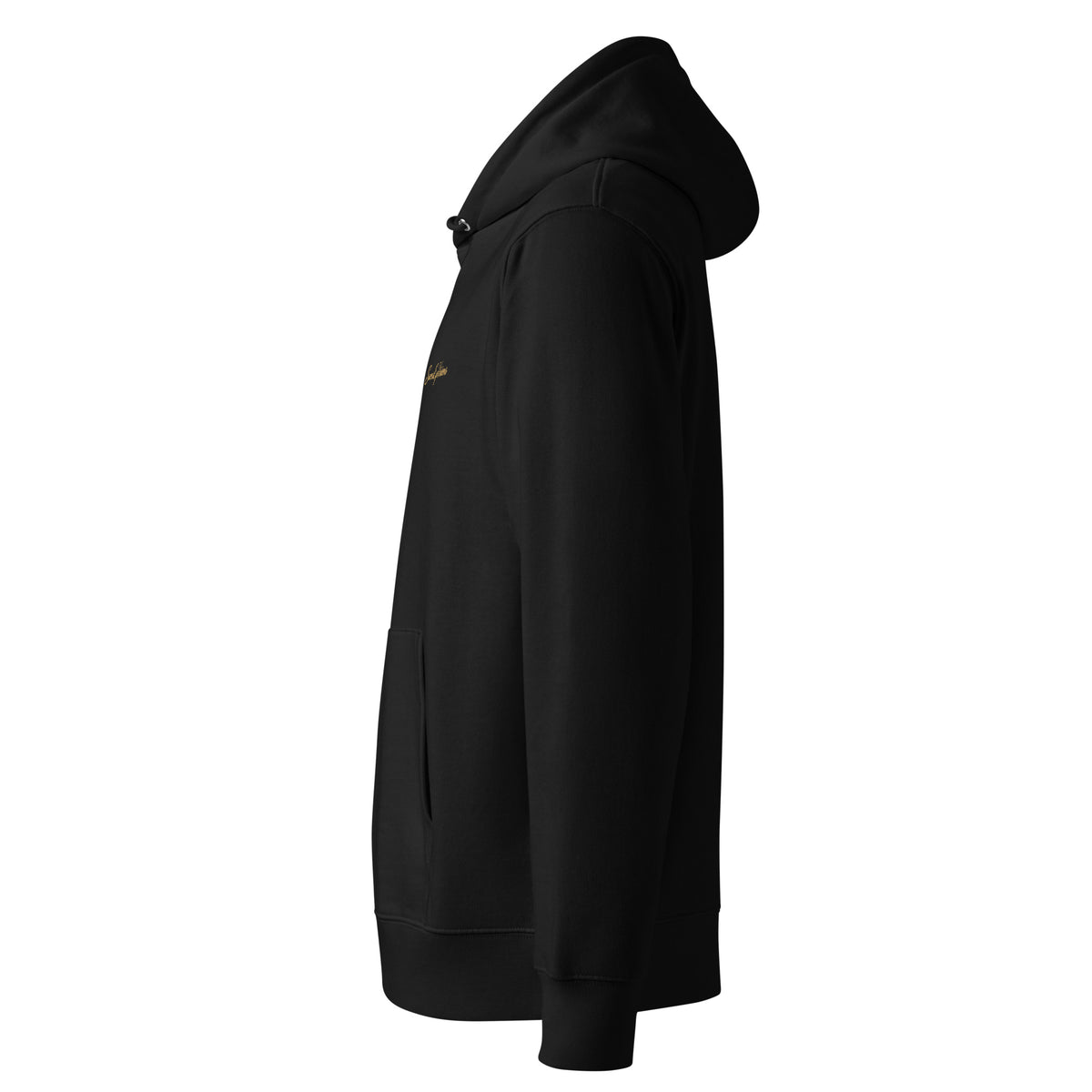 SEV Cursive Wordmark Embroidered Hoodie in Black, left side view
